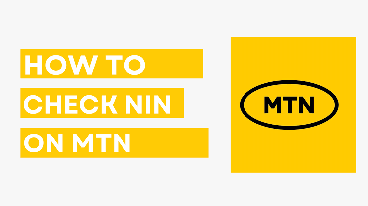 How to Check Your NIN Status on MTN Line