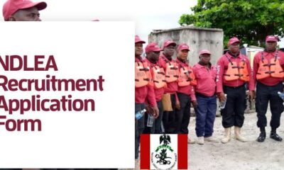 Ndlea recruitment