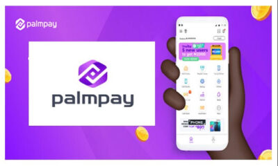 How to Borrow Money from Palmpay